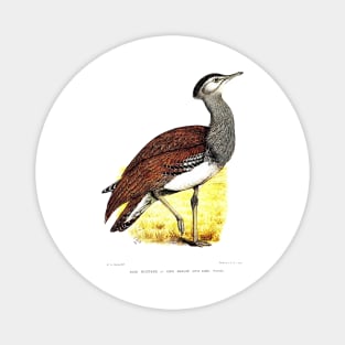 Kori Bustard by C. G. Finch-Davies Magnet